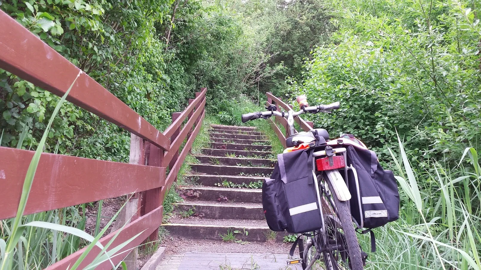 E16 walton lake while marshall at vet (3)